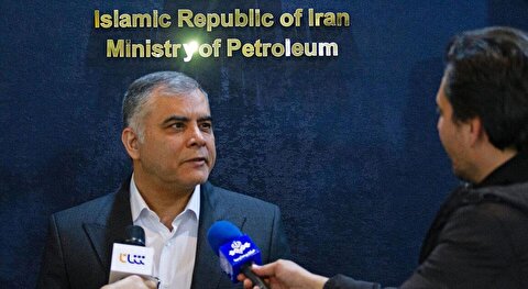 مشارکت پتروشیمی‌ها در توسعه میادین گازی، کلید تأمین پایدار خوراک