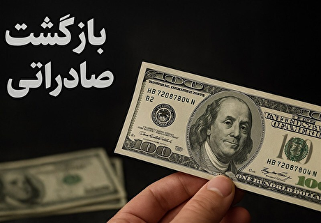 پیشنهاد افزایش نرخ خوراک برای پتروشیمی‌های متخلف بازگشت ارز