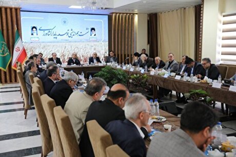 درخواست کمک پزشکیان از کارشناسان برای غلبه بر مشکلات ناشی از کم‌آبی