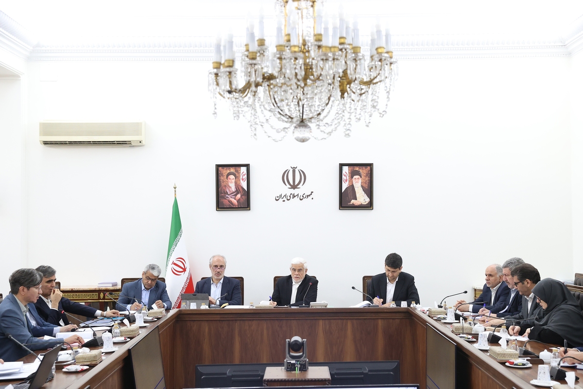 تشریح اقدامات بانک مرکزی در راستای تحول نظام بانکی/ دکتر عارف:رفع ناترازی‌های کشور با جدیت پیگیری می‌شود