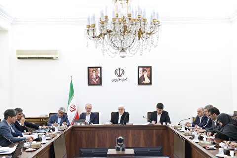 تشریح اقدامات بانک مرکزی در راستای تحول نظام بانکی/ دکتر عارف:رفع ناترازی‌های کشور با جدیت پیگیری می‌شود
