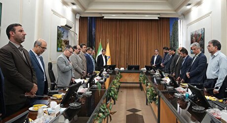 تأکید بر تقویت نگاه اجرایی در مهندسی و توسعه گاز