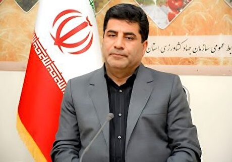 برای تجهیز چاه‌های کشاورزی به پنل خورشیدی برنامه سه ساله داریم/انجام توافق برای ارائه تسهیلات