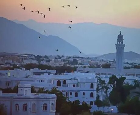 چرا اروپا به انرژی پاک عمان علاقه‌مند است؟