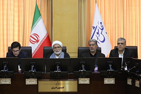 معاون وزیر نفت درباره توزیع و پخش فرآورده‌های نفتی به کمیسیون انرژی گزارش داد