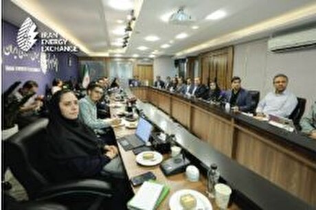 بازیگران صنعت برق، نقش‌آفرینان توسعه انرژی