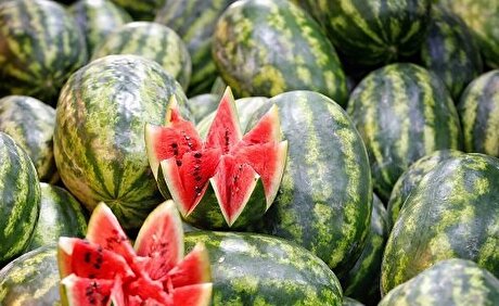 نقش هندوانه در بحران آب کشور، فرار رو به جلو است