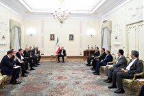 دیدار وزیر انرژی روسیه با رئیس‌جمهور پزشکیان
