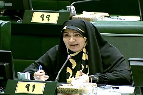رفیعی: راهکار «استفاه از پمپ» مشکل آب را برطرف نمی‌کند