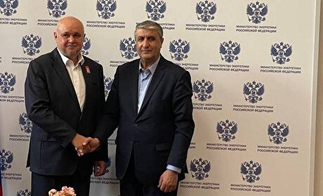 دیدار رییس سازمان انرژی اتمی ایران با وزیر انرژی روسیه