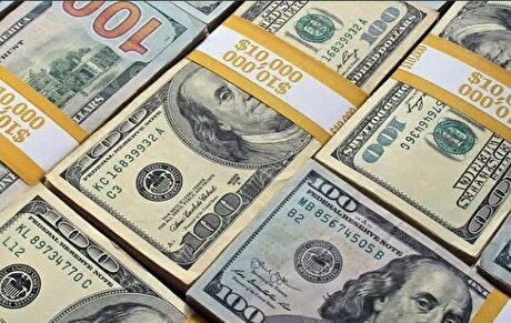 ارز پتروشیمی‌ها به بازار سرازیر شد