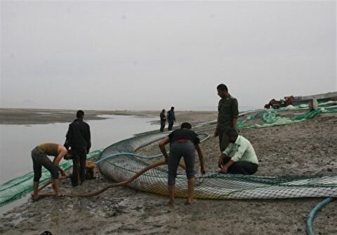 قاچاق سوخت عامل ترک تحصیل دانش‌آموزان در استان‌های مرزی/ شناسایی ۶۰۰ هزار کارت سوخت غیرمجاز