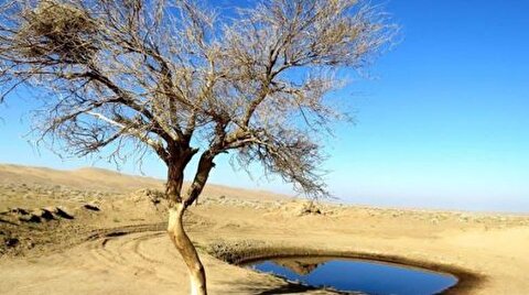 پیشنهاد عجیب وزارت نیرو؛ آب دشت‌های تشنه ارزان‌تر از آب سطحی
