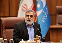 ارزش ۱۰ میلیارد دلاری نیروگاه بوشهر؛ بزرگ‌ترین پروژه مشترک ایران و روسیه