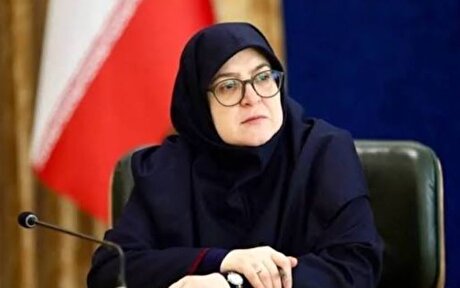 مهاجرانی: برق نیروگاه‌های تازه تاسیس به صنایع اختصاص می‌یابد
