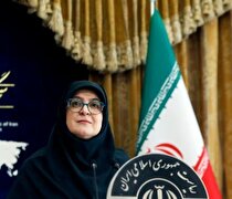 سخنگوی دولت: کاهش محدودیت انرژی در مناطق گرمسیری اولویت دولت است
